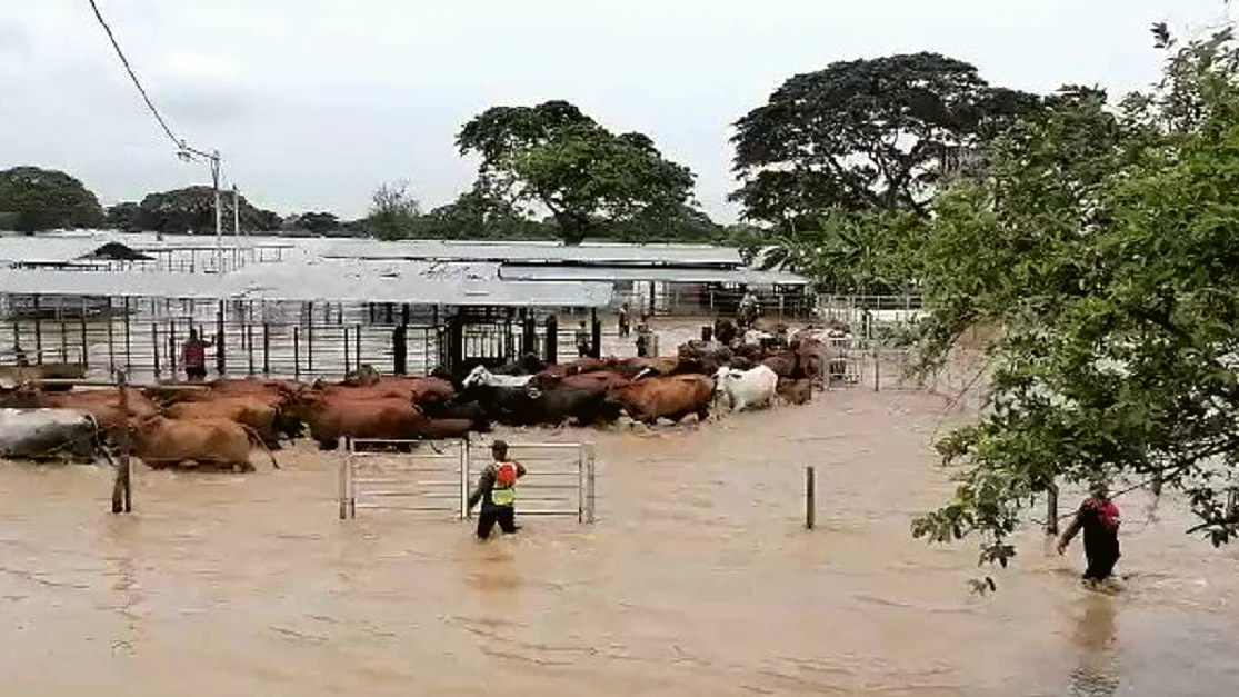 Desborde de cañadas e inundaciones afectan a Maracaibo