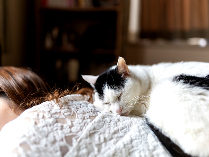 Dormir siestas de más de 30 minutos aumenta el riesgo de obesidad y presión arterial alta