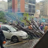 Árbol de 8 metros cae sobre dos vehículos en Caracas
