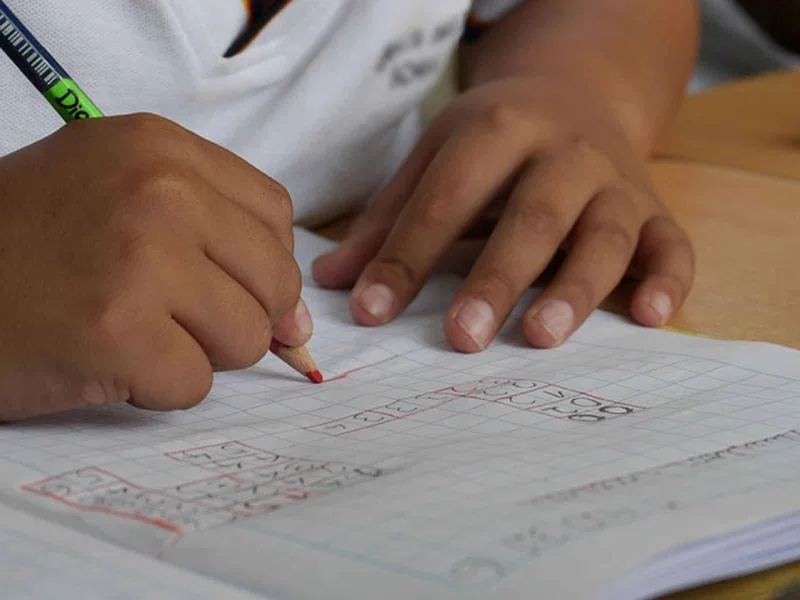 Sistema educativo nacional requiere 13 mil docentes expertos