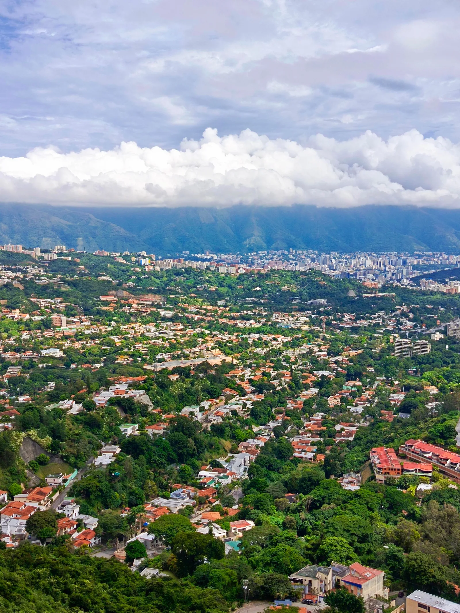 Toma aérea vibrante del paisaje urbano de Caracas con vegetación exuberante y fondo de montaña.