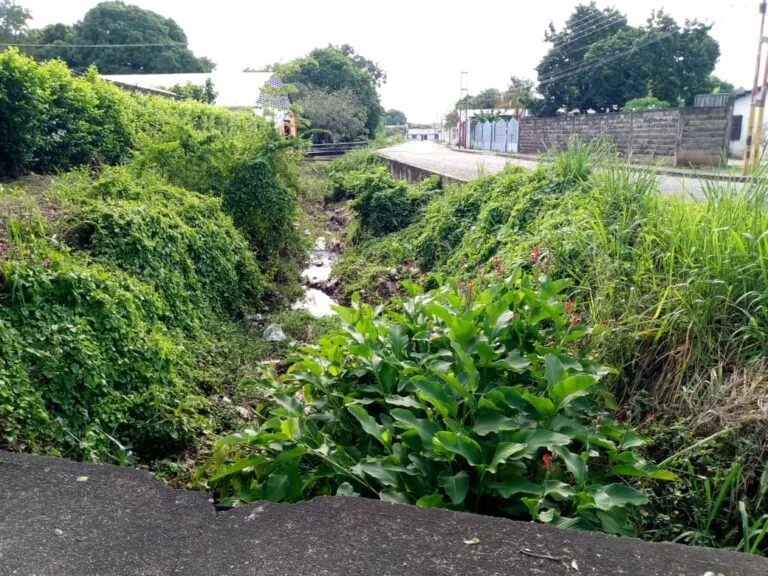 Piden limpiar el caño El Bobo en Barinas