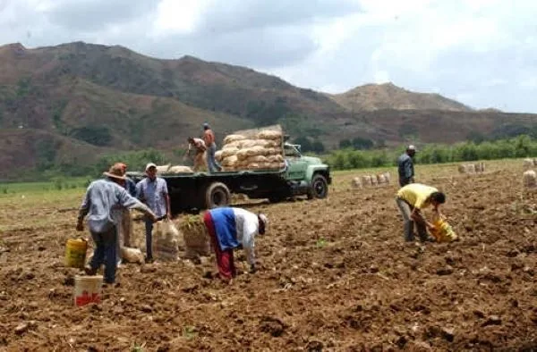 Venezuela levanta suspensión de drones agrícolas, reanuda
