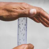 Salud activa alerta nacional por riesgos del fenómeno El Niño