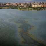 Alertan que no hay plantas activas para sanear el Lago