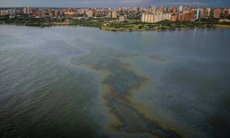 Alertan que no hay plantas activas para sanear el Lago
