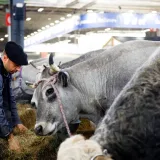 Francia reporta la primera infección humana conocida por Shamonda