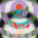 Ashwagandha: qué se sabe del suplemento y sus riesgos