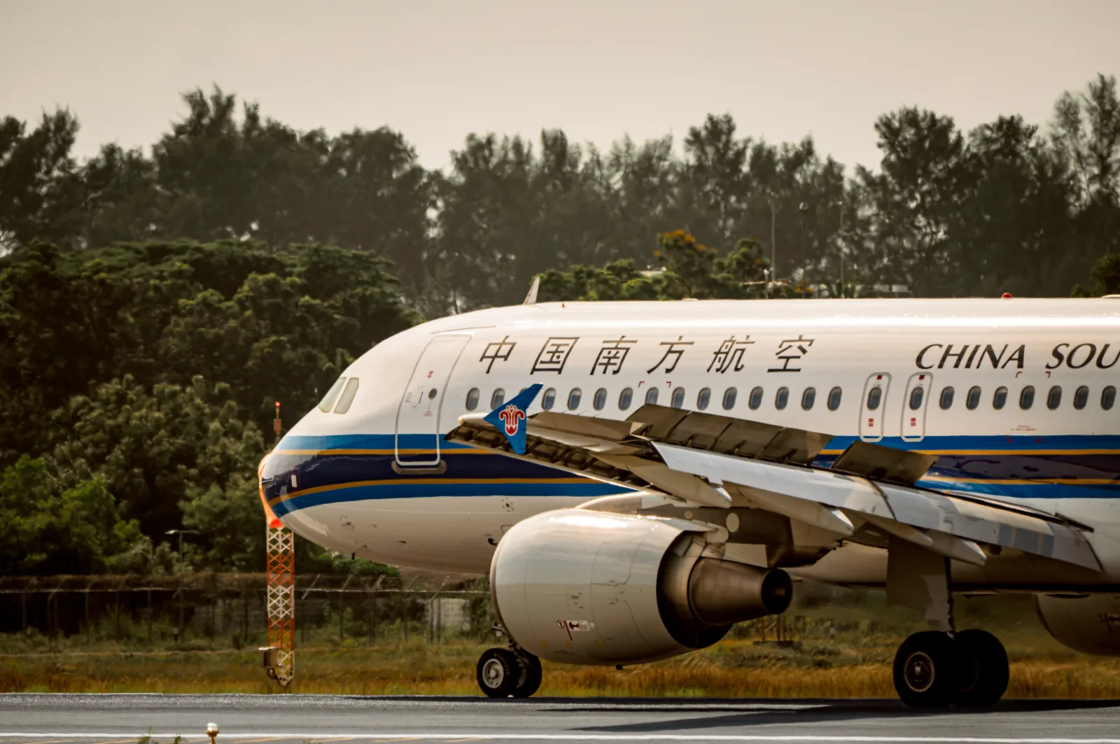 Avión de China Southern Airlines en la pista, rodeado de exuberante vegetación.
