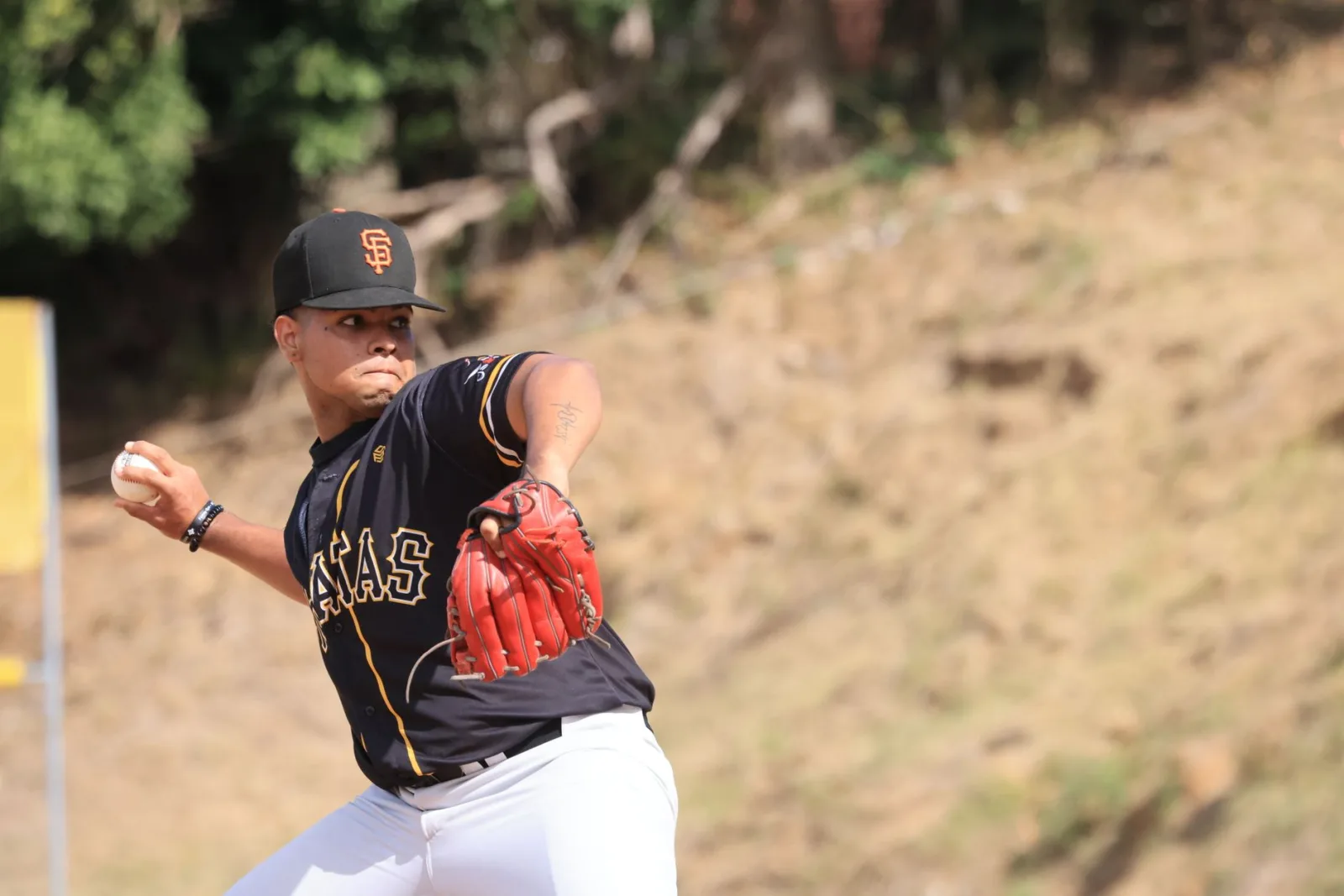 Álvarez y López lideran premios semanales en MLB