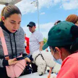 Zulia prevé vacunar 400 mascotas este sábado 13 de junio