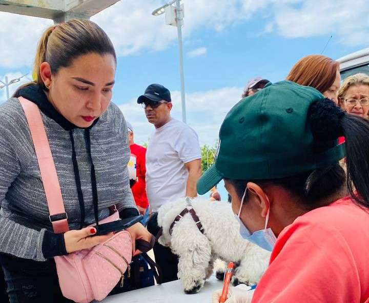 Zulia prevé vacunar 400 mascotas este sábado 13 de junio