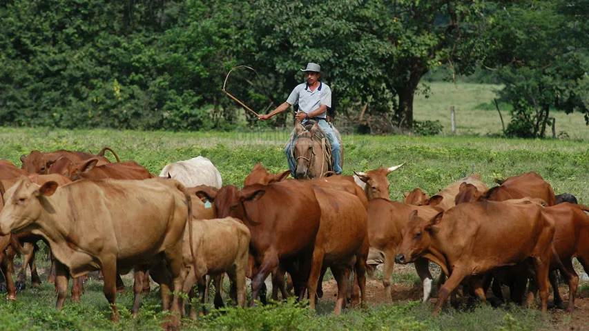 Fedenaga pide usar renta petrolera para rescatar al agro