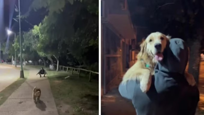 “Ni Judas se animó a tanto”: se reencontró con su ex mientras paseaba a su perra y la reacción del animal la sorprendió