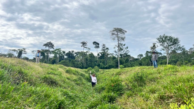 Hallan 432 geoglifos ocultos en la Amazonía brasileña