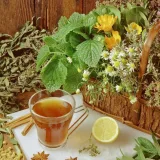Plantas usadas para aliviar resfriado, tos y congestión
