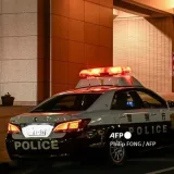 Anciana en Japón tendió una trampa y logró la captura de un supuesto