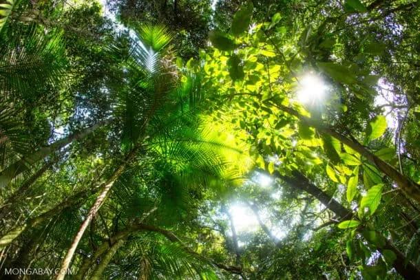 El calor vinculó casi 3 millones de muertes entre 2016 y 2023