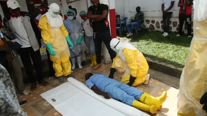 OMS probará dos antivirales contra el ébola en la República Democrática del Congo