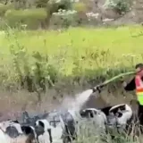 Hallan restos de avión médico desaparecido en EE. UU