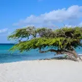 Aruba y Venezuela alistan vuelos desde el 1 de agosto