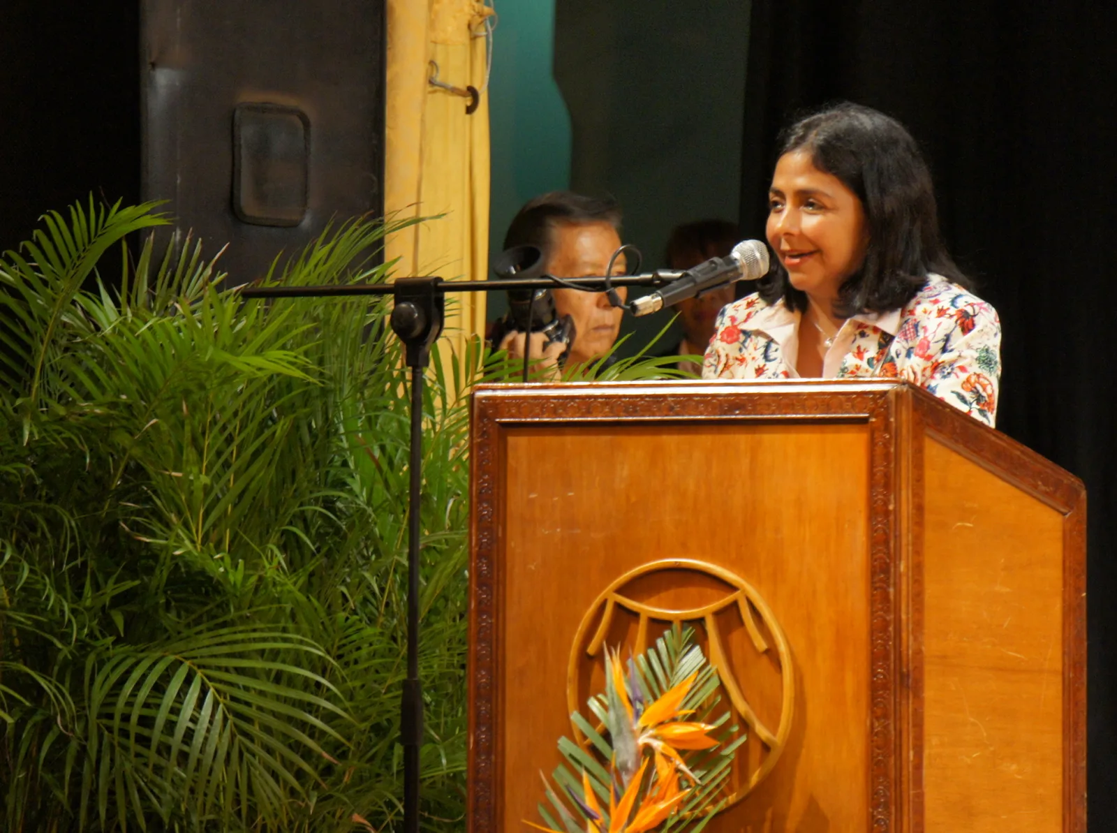 Delcy Rodríguez 2014