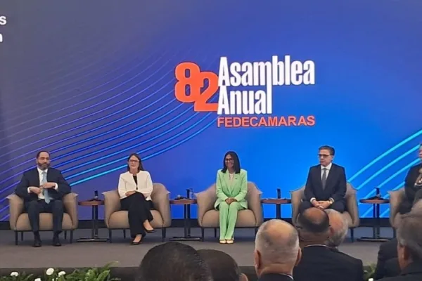 Delcy Rodríguez prevé reforma eléctrica con capital privado este año