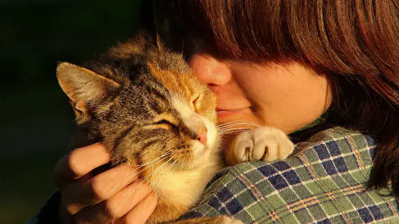 Estudio sueco en 30.000 niños no encuentra relación entre vivir con gatos y el empeoramiento del asma infantil