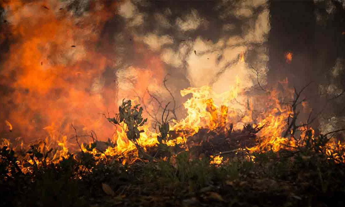 Inameh advierte riesgo de incendios forestales en Zulia y Llanos