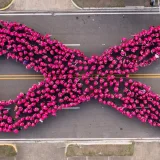 Santiago reúne a más de 1.100 personas en campaña